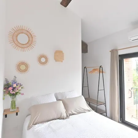 Maison De Charme 12 Personnes Avec 3 Independantes Au Mas Conte A En Roussillon *