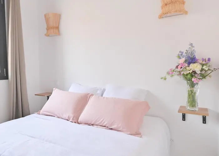 בית נופש Maison De Charme 12 Personnes Avec 3 Independantes Au Mas Conte A En Roussillon